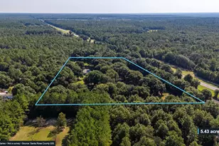 12400 Wildlife Rd, Holt, FL 32564 - Photo 51