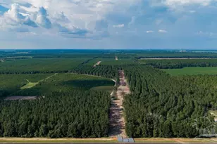 Lot 64 Posie Forest Rd, Milton, FL 32570 - Photo 1
