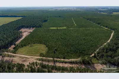 Lot 73 Posie Forest Rd, Milton, FL 32570 - Photo 11