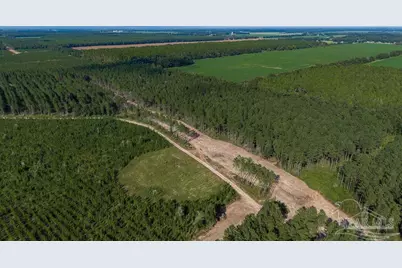 Lot 73 Posie Forest Rd, Milton, FL 32570 - Photo 31