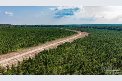 Lot 73 Posie Forest Rd, Milton, FL 32570 - Photo 19