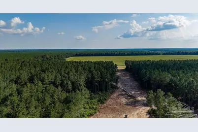 Lot 73 Posie Forest Rd, Milton, FL 32570 - Photo 5