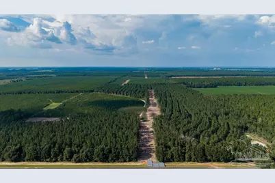 Lot 73 Posie Forest Rd, Milton, FL 32570 - Photo 7