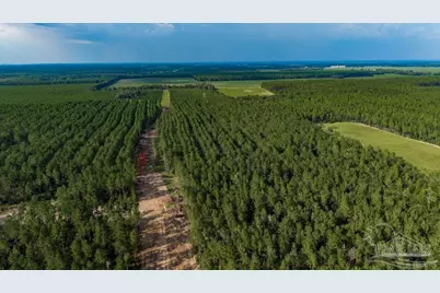 Lot 73 Posie Forest Rd, Milton, FL 32570 - Photo 45