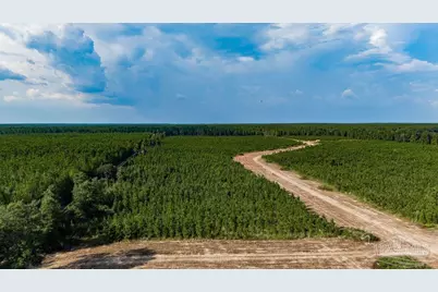 Lot 73 Posie Forest Rd, Milton, FL 32570 - Photo 15