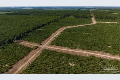 Lot 73 Posie Forest Rd, Milton, FL 32570 - Photo 37