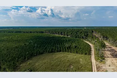Lot 91 Posie Forest Rd, Milton, FL 32570 - Photo 3