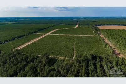 Lot 91 Posie Forest Rd, Milton, FL 32570 - Photo 7
