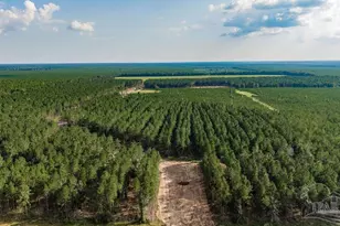Lot 91 Posie Forest Rd, Milton, FL 32570 - Photo 1