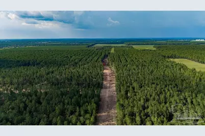Lot 91 Posie Forest Rd, Milton, FL 32570 - Photo 5