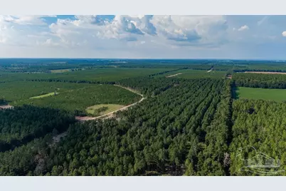 Lot 91 Posie Forest Rd, Milton, FL 32570 - Photo 9