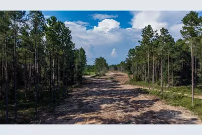 Lot 91 Posie Forest Rd, Milton, FL 32570 - Photo 11
