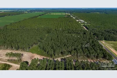 Lot 93 Posie Forest Rd, Milton, FL 32570 - Photo 7