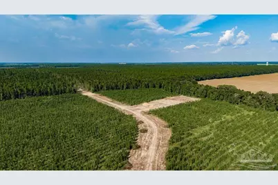 Lot 87 Posie Forest Rd, Milton, FL 32570 - Photo 5