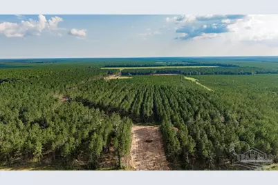 Lot 87 Posie Forest Rd, Milton, FL 32570 - Photo 3