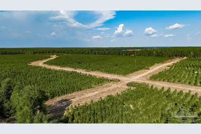 Lot 87 Posie Forest Rd, Milton, FL 32570 - Photo 11