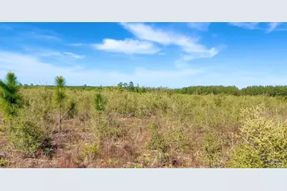 Lot 55 South Timber Ln, Jay, FL 32565 - Photo 1