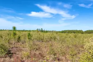 Lot 55 South Timber Ln, Jay, FL 32565 - Photo 1