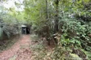 7350 Munson Hwy, Milton, FL 32570 - Photo 13