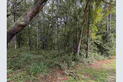 1400 Blk Oak Bend Trl, Cantonment, FL 32533 - Photo 3