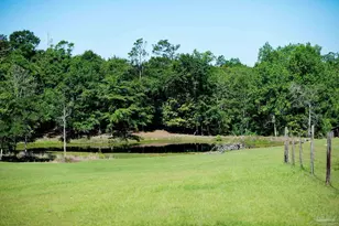 2001 Chavers Rd, Cantonment, FL 32533 - Photo 53