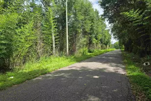 6200 Arthur Brown Rd, Walnut Hill, FL 32568 - Photo 23