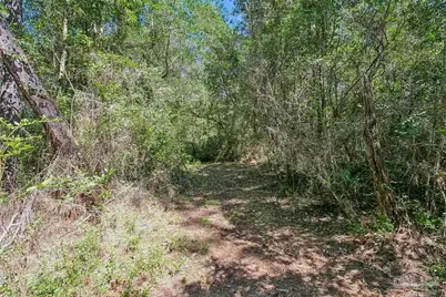 6828 Martin Rd, Milton, FL 32570 - Photo 47