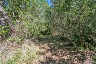 6828 Martin Rd, Milton, FL 32570 - Photo 47