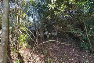 2770 Nelsontown Rd, Jay, FL 32565 - Photo 15