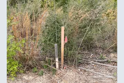 9846 Shangri La West Rd, Milton, FL 32583 - Photo 3