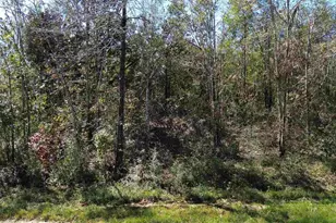 Lot 7A Pineview Church Rd, Jay, FL 32565 - Photo 1
