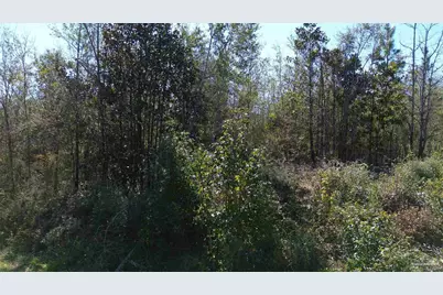 Lot 7A Pineview Church Rd, Jay, FL 32565 - Photo 3