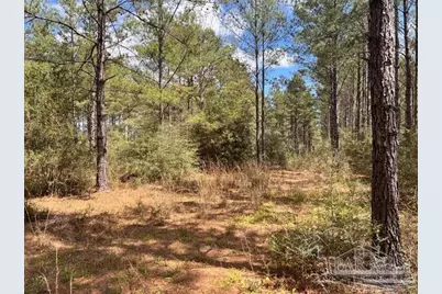 Lot 10 Naturewalk Dr, Jay, FL 32565 - Photo 5