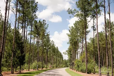 Lot 10 Naturewalk Dr, Jay, FL 32565 - Photo 7
