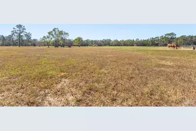 9658 Hwy 90, Milton, FL 32583 - Photo 5