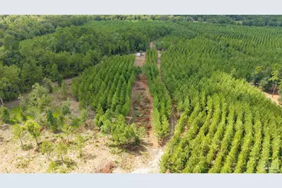 Tbd Richardson Rd, Cantonment, FL 32577 - Photo 5