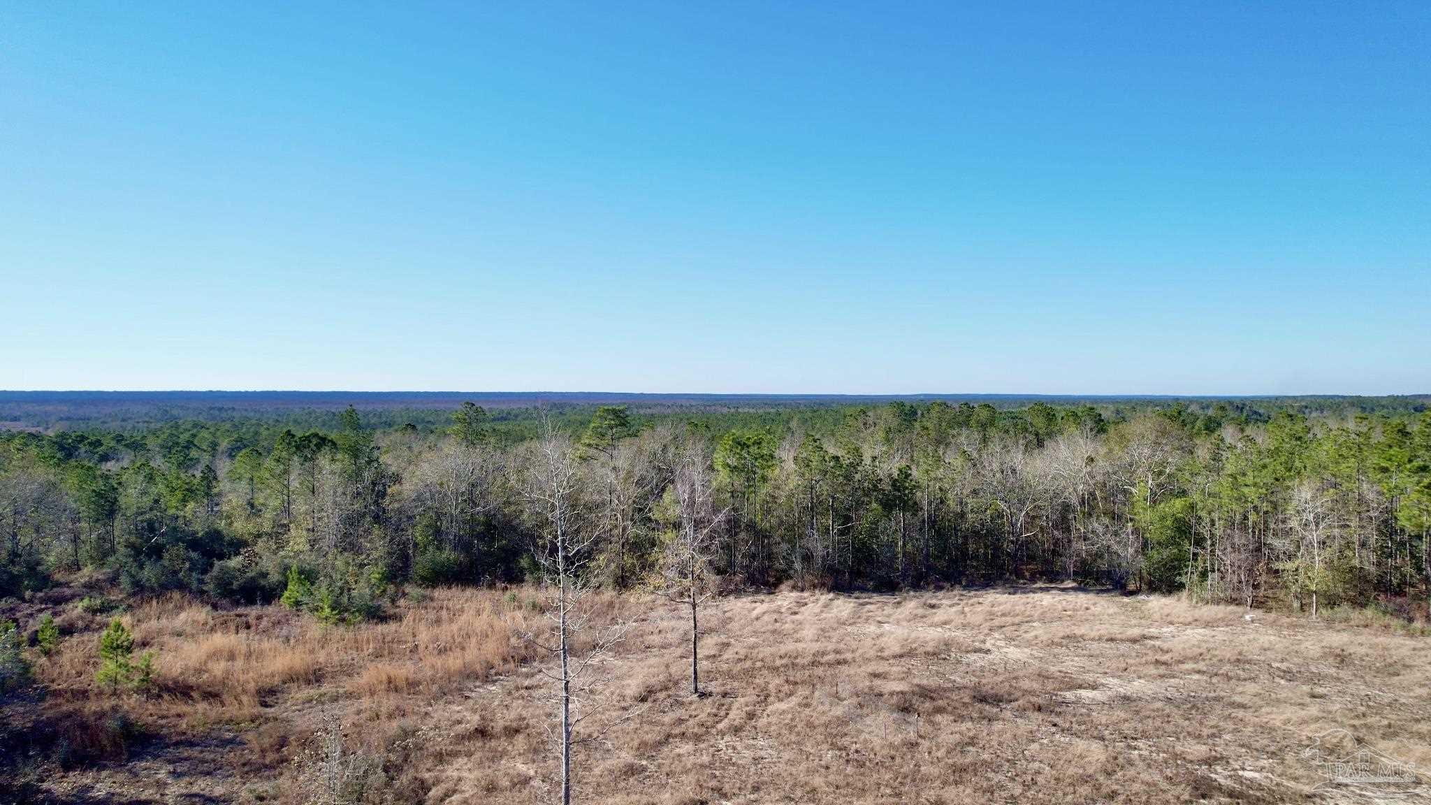 Lot 40 Br Buffalo Ridge Rd, Pace, FL 32571 MLS 602655 Coldwell Banker
