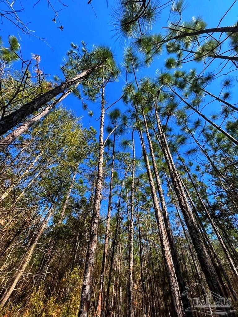 00000 Wildlife Rd, Harold, FL 32564 MLS 607943 Coldwell Banker