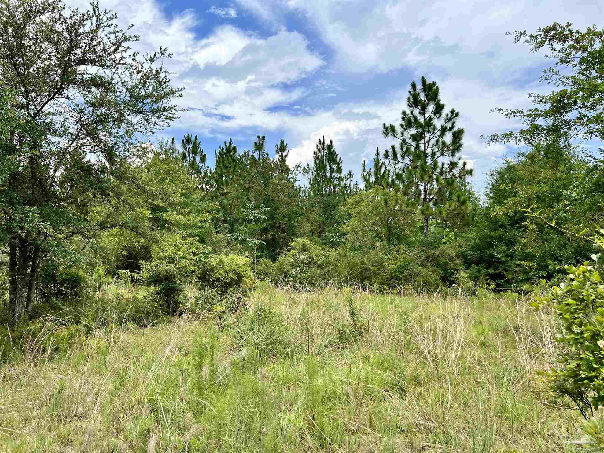 Tidwell Rd, Pace, FL 32571 MLS 611666 Coldwell Banker