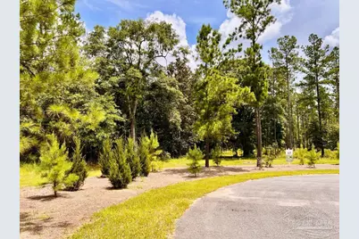 Lot 17 Pine Preserve Ln, Jay, FL 32565 - Photo 1