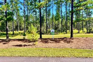 Lot 18 Pine Preserve Ln, Jay, FL 32565 - Photo 1