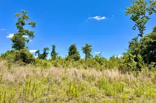 Lot 7-C Cotton Lake Rd, Molino, FL 32577 - Photo 1