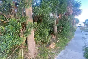 208 Via De Luna Dr, Pensacola Beach, FL 32561 - Photo 1