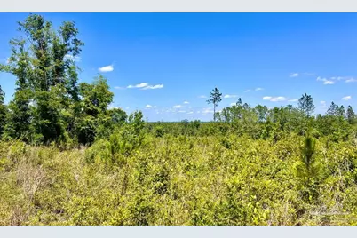 Lot 12-C Cotton Lake Rd, Molino, FL 32577 - Photo 1