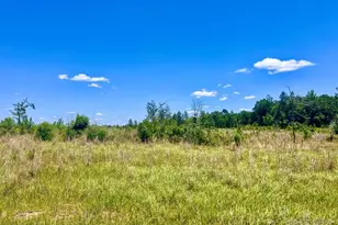 Lot 13-C Cotton Lake Rd, Molino, FL 32577 - Photo 1