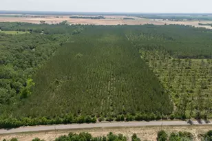 3 Bud Diamond Rd, Jay, FL 32565 - Photo 1