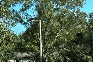 177 Juniper St, McDavid, FL 32568 - Photo 1