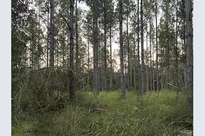 Lot 1 Wallace Lake Rd, Pace, FL 32571 - Photo 1