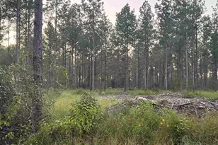 Lot 4 Wallace Lake Rd, Pace, FL 32571 - Photo 1