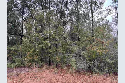 Lot 8 Pond Creek Rd, Milton, FL 32570 - Photo 1